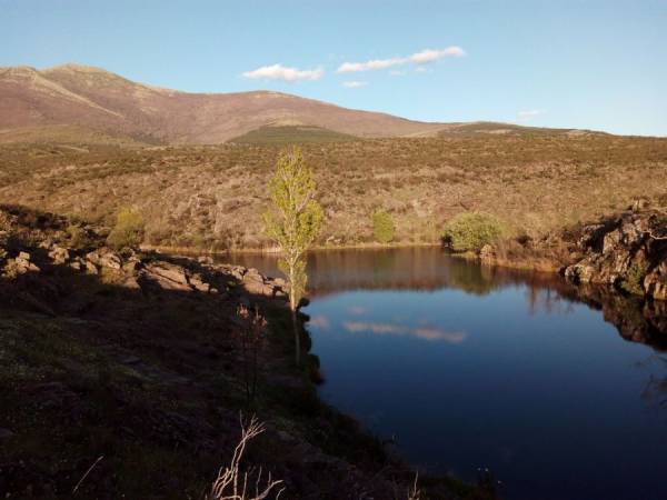 El pico Ocejón al fondo...