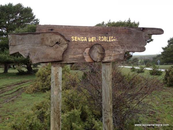 Cartel Hayedo Tejera Negra