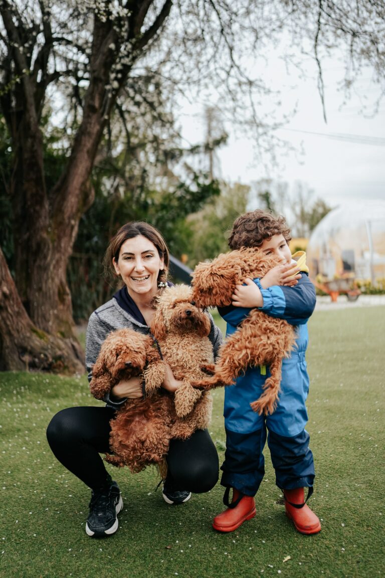 viajar con perros y familia