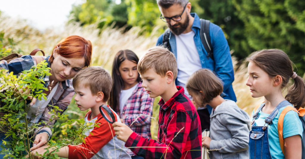 planes con niños en la naturaleza