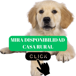 nutrición para perros importancia